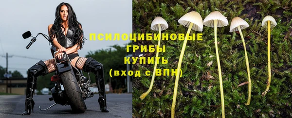 2c-b Абдулино