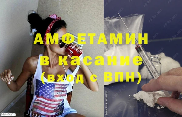 шишки Алзамай