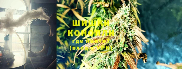 шишки Алзамай