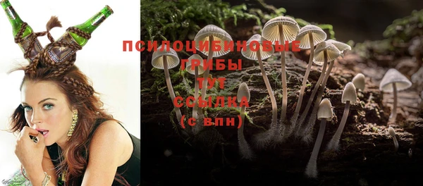 шишки Алзамай