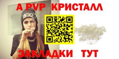 PSILOCYBIN Кингисепп