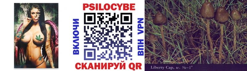 дарнет шоп  Кудымкар  Галлюциногенные грибы Psilocybe 