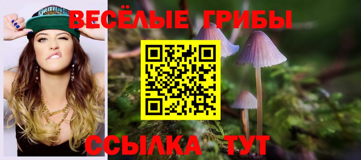купить наркотик  Галлюциногенные грибы Psilocybine cubensis  Вход с VPN  Кудымкар 